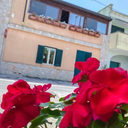 Aparthotel Cortellenica Торре-Сан-Джованни-Удженто Экстерьер фото